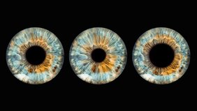 Auge Pupille Orexin