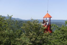 Eine Gondel am Drahtseil eines Baukrans trägt die Forschenden über die Baumkronen des Waldlabors.