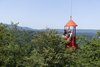 Eine Gondel am Drahtseil eines Baukrans trägt die Forschenden über die Baumkronen des Waldlabors.