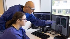 Virologe Prof. Schindler und eine Mitarbeiterin werten Daten aus einem Infektionsexperiment aus.  