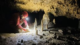Tropfsteine in der rumänischen Cloşani-Höhle