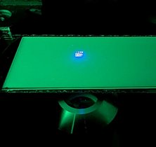 Blaulicht-Projektion des HHU-Logos mittels µPatternScope auf einem künstlichen Gewebe.