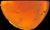 Fossil enthüllt frühe Evolution der Stechmücken Bernstein mit Stechmücke