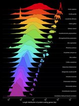 Grafik Entwicklung der Längenverteilung proteincodierender Gene im Laufe der Evolution 