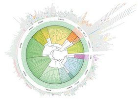 Familien-Sonne: Forschende der Goethe-Universität haben die Verwandtschaftsverhältnisse aller 462 E3-Ligasen des Menschen aufgeklärt.