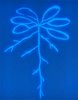 Die Abbildung zeigt eine Arabidopsis-Pflanze zusammen mit einem fluoreszierenden, wurzelassoziierten Pseudomonas-Stamm und veranschaulicht, wie Pflanzen durch ihre mikrobielle Umwelt beeinflusst werden.