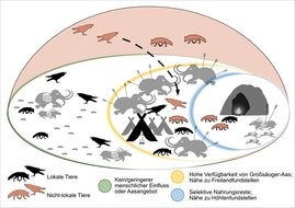 Tiere und Menschen raben