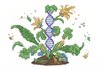 KI Bild: Die umfangreichen Datensätze, die für Arabidopsis zur Verfügung stehen, ermöglichen es, KI-Modelle zu trainieren. 