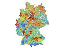 Pestizidrisiken für Bestäuber in Deutschland