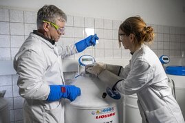Kryolagerung von Biomaterial 