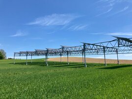 Agri-Photovoltaikanlagen schützen durch Beschattung.