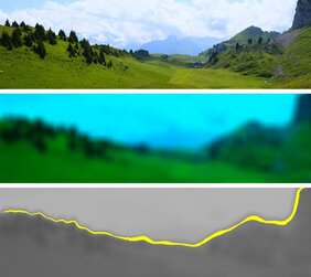 Fotografie einer Landschaftsszene (oben), simulierte Bildinformation im Auge der Maus (mitte)
