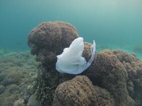 Die Reinigung der Meere von Plastikmüll mithilfe von Technologien wie dem Projekt „Ocean Cleanup“ ist nicht effektiv. Zu diesem Ergebnis kommt eine neue Studie.  