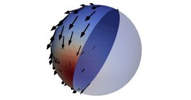 Momentaufnahme aus der Computersimulation der Zellwand einer kugelförmigen Zelle.