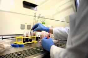 Laborbench mit Reagenzgläsern