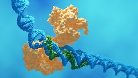 Grafik DNA