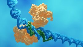 Grafik DNA
