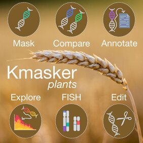 Was kurze Sequenzstücke (k-mer) verraten. Anwendungen und Methoden des bioinformatischen Tools „Kmasker plants“ zur Analyse von Sequenzdaten.