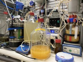 Bioreaktorsystem im Labor