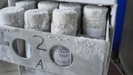 Probengefäße in der Tiefkühlung