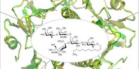 Röntgenkristallstruktur des Choleratoxins