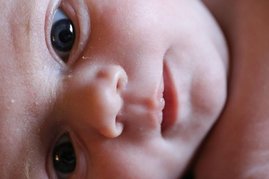 Das Gehirn bereitet sich schon im Mutterleib auf das Sehen vor Gesicht eines Neugeborenen