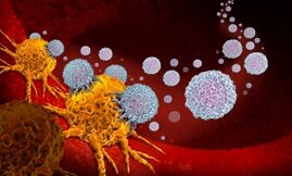 Immunzellen mit Markerproteinen