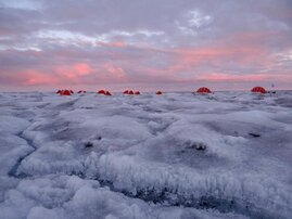 Forschungscamp in Süd-Grönland. Im Vordergrund: dunkles Eis mit Eisalgen. 
