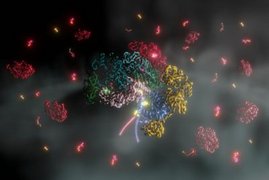 Proteinkomplex für die biologische Methanproduktion. 