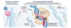 LEOPARD hat das Potenzial, die Diagnostik zu revolutionieren