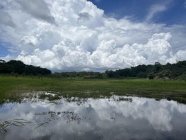 Amazonas Amazonas