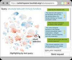 Screenshot der CellWhisperer AI zur chat-basierten Analyse von RNA-Daten Screenshot der CellWhisperer AI zur chat-basierten Analyse von RNA-Daten