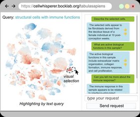 Screenshot der CellWhisperer AI zur chat-basierten Analyse von RNA-Daten 