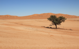 Wüste Namib