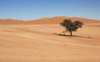 Wüste Namib