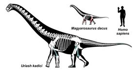 Sauropoden