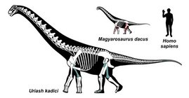 Sauropoden