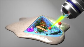 Grafik der Zelle mit laserstrahl