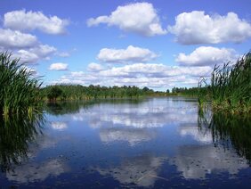 Beestland Moor  