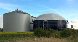 Biogasanlage Bakterien