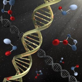 DNA-Strang