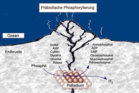 Geochemischer Vorläufer des ATP Grafik Geochemischer Vorläufer des ATP