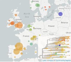 Die neue SARS-CoV-2-Variante 20A.EU1 hat sich in Europa weit verbreitet.  