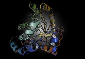 Proteinstruktur mit dem neuartigen Schalter zwischen einem Cystein- und einem Lysinrest. 