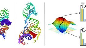 Links: 3D Struktur des Neomycin Riboswitches mit gebundenem Liganden. Mitte: 3D Struktur des Tetracyclin Riboswitches mit gebundenem Liganden. Rechts: Exemplarische Visualisierung des Optimierungsprozesses.