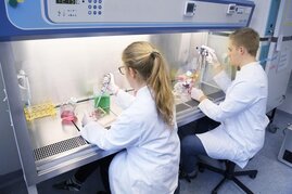 Zellkulturen für Gewebemodelle zum Testen von Substanzen