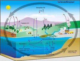 Grafoische Darstellung des Kohlenstoffkreislaufs