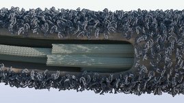 Der Aufbau eines Ziliums der Grünalge Clamydomonas reinhardtii 