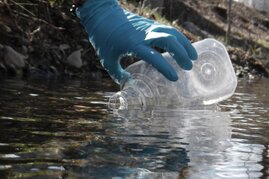 Fische hinterlassen Fragmente von Erbgut im Wasser.