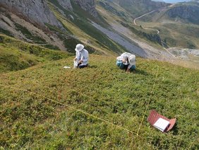 Hier ist eine Untersuchung im Bjelasica-Gebirge in Montenegro zu sehen.